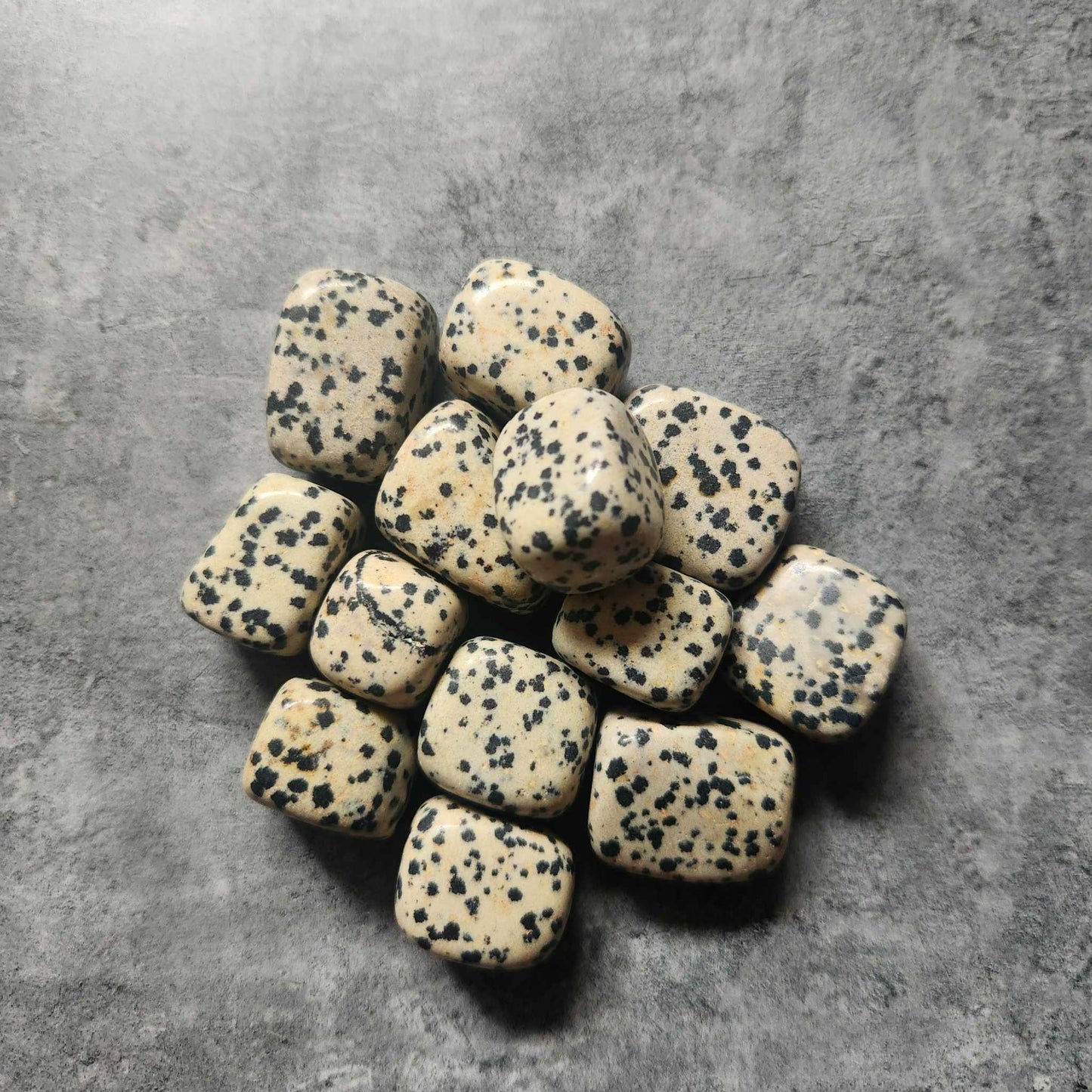 Dalmatian Jasper