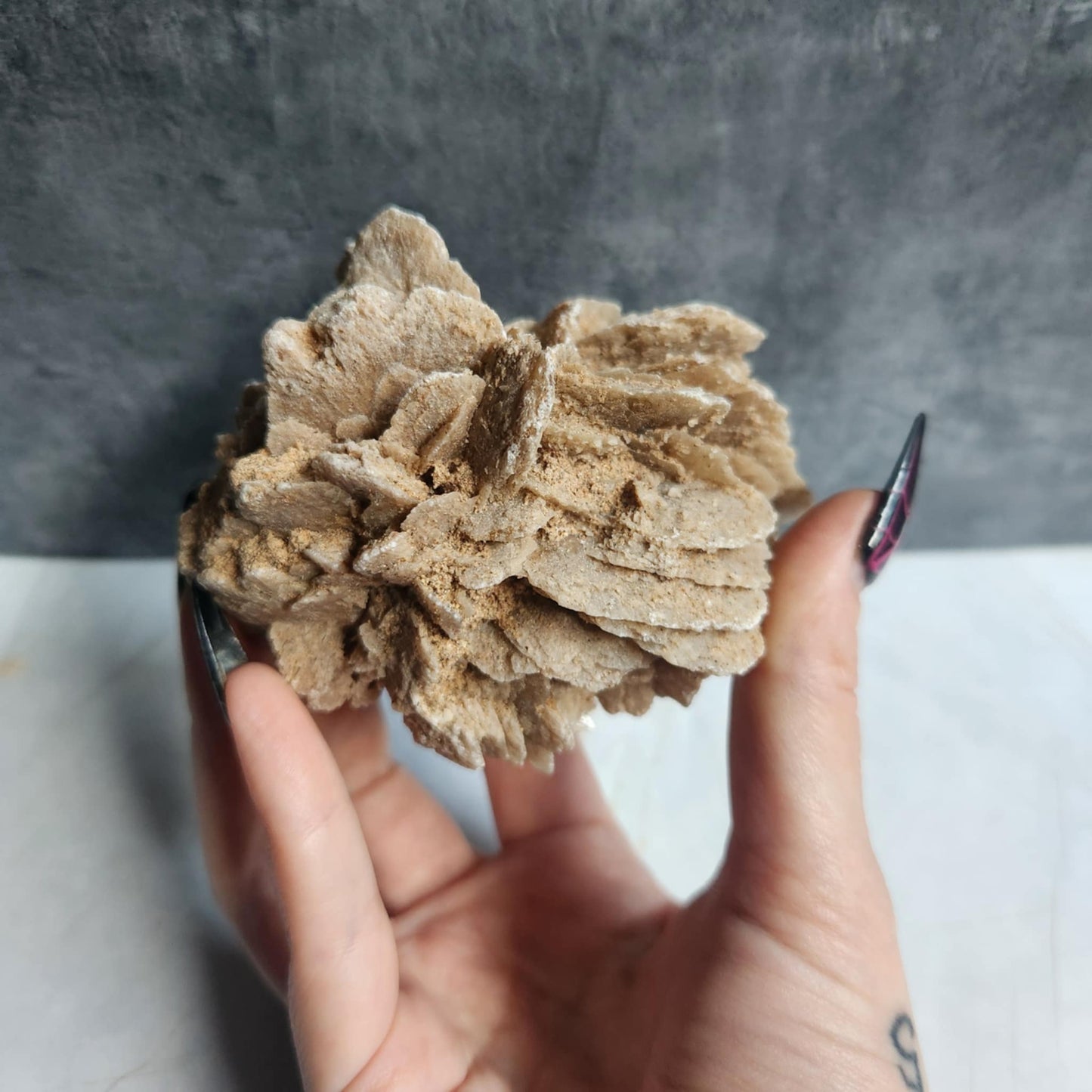 Desert Rose