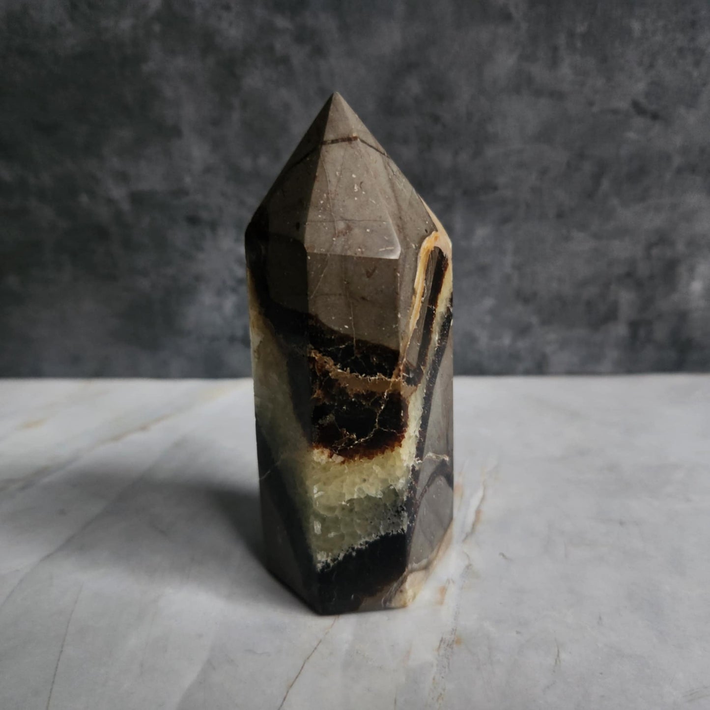 Septarian Nodule