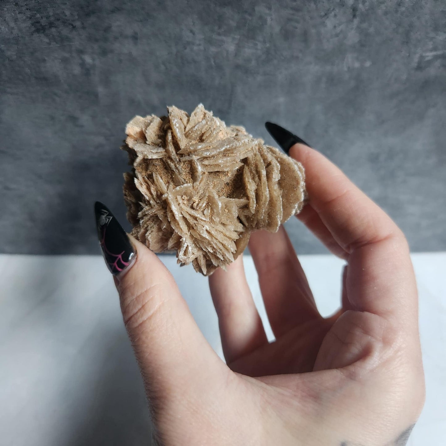 Desert Rose