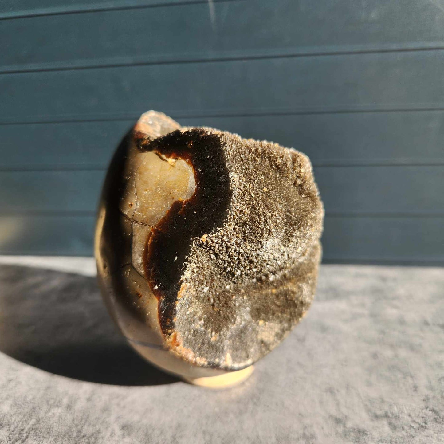 Black Velvet Septarian Nodule Egg