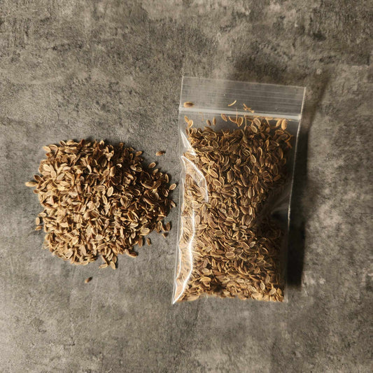 Dill Seed