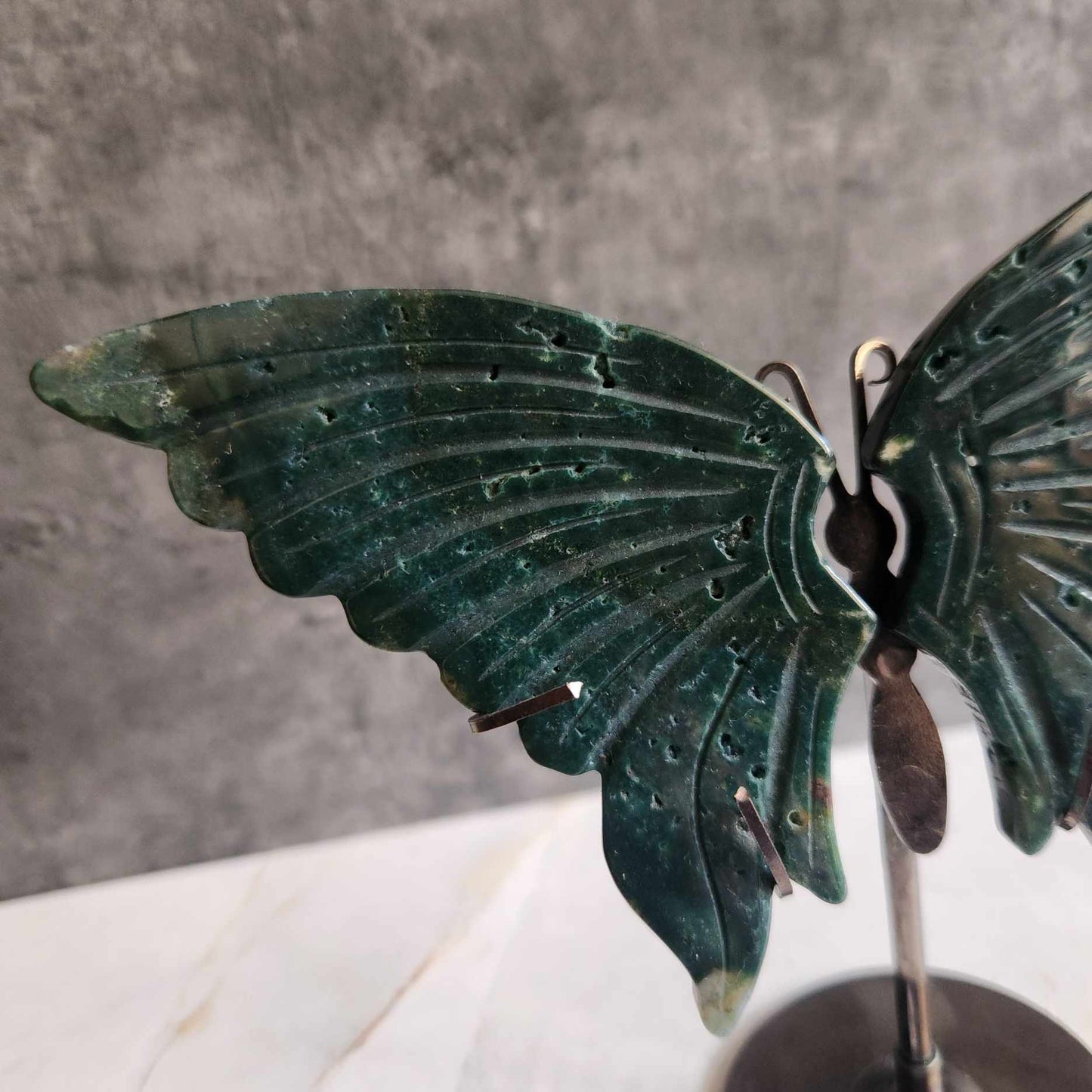 Ocean Jasper Wings