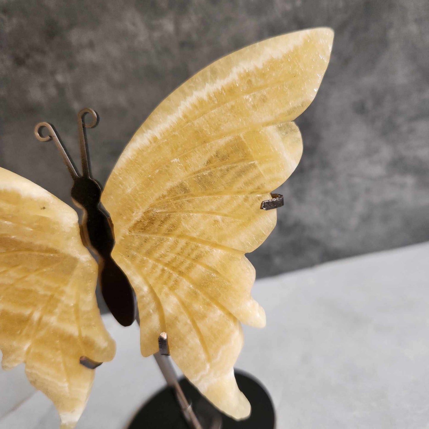 Orange Calcite Wings