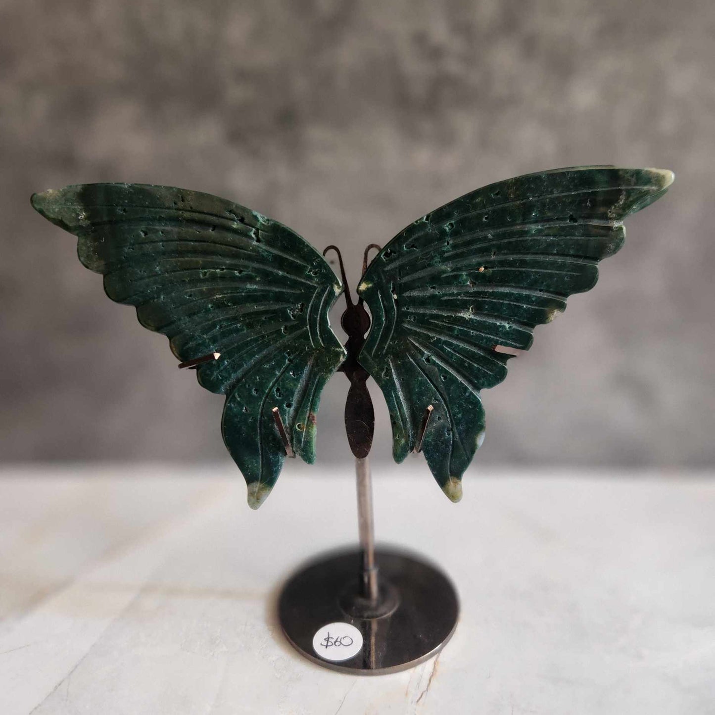 Ocean Jasper Wings