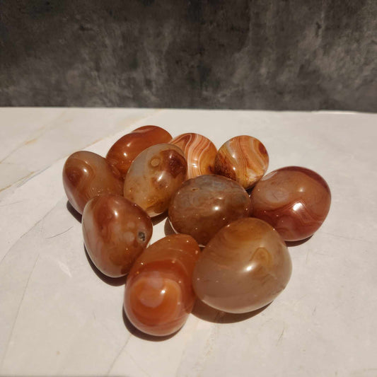 Carnelian XL