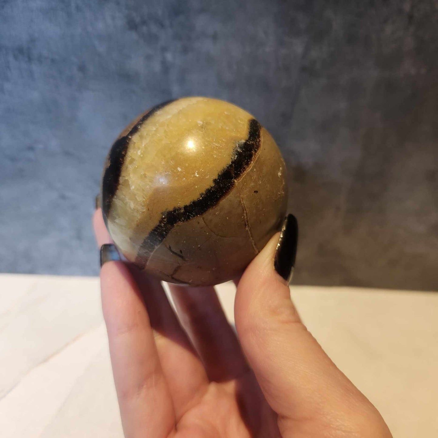 Septarian Nodule