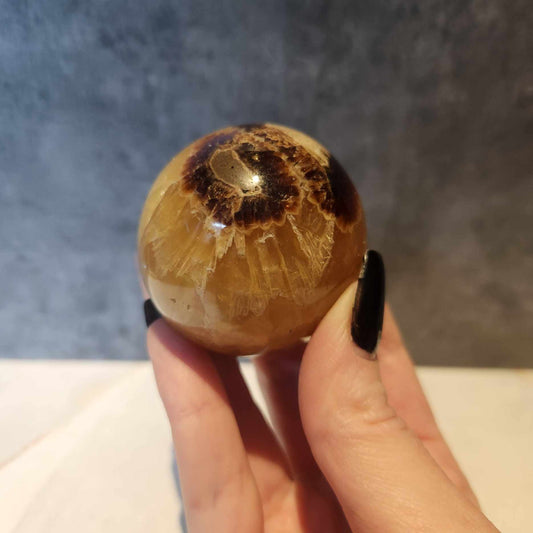 Septarian Nodule