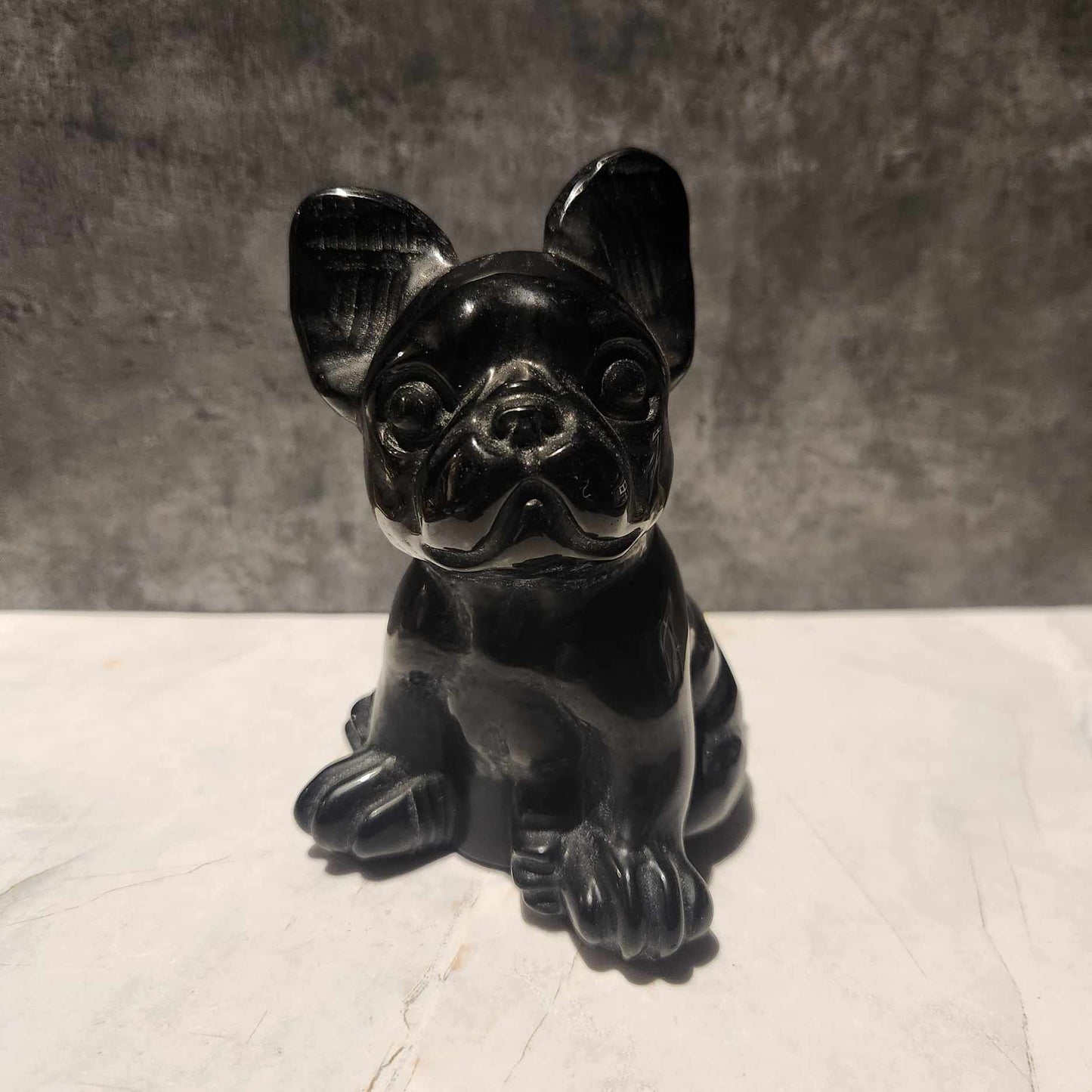 Black Obsidian Frenchie