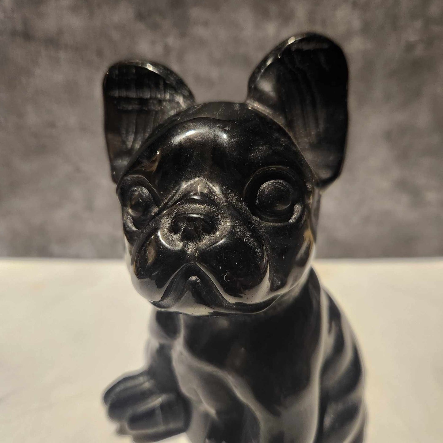 Black Obsidian Frenchie