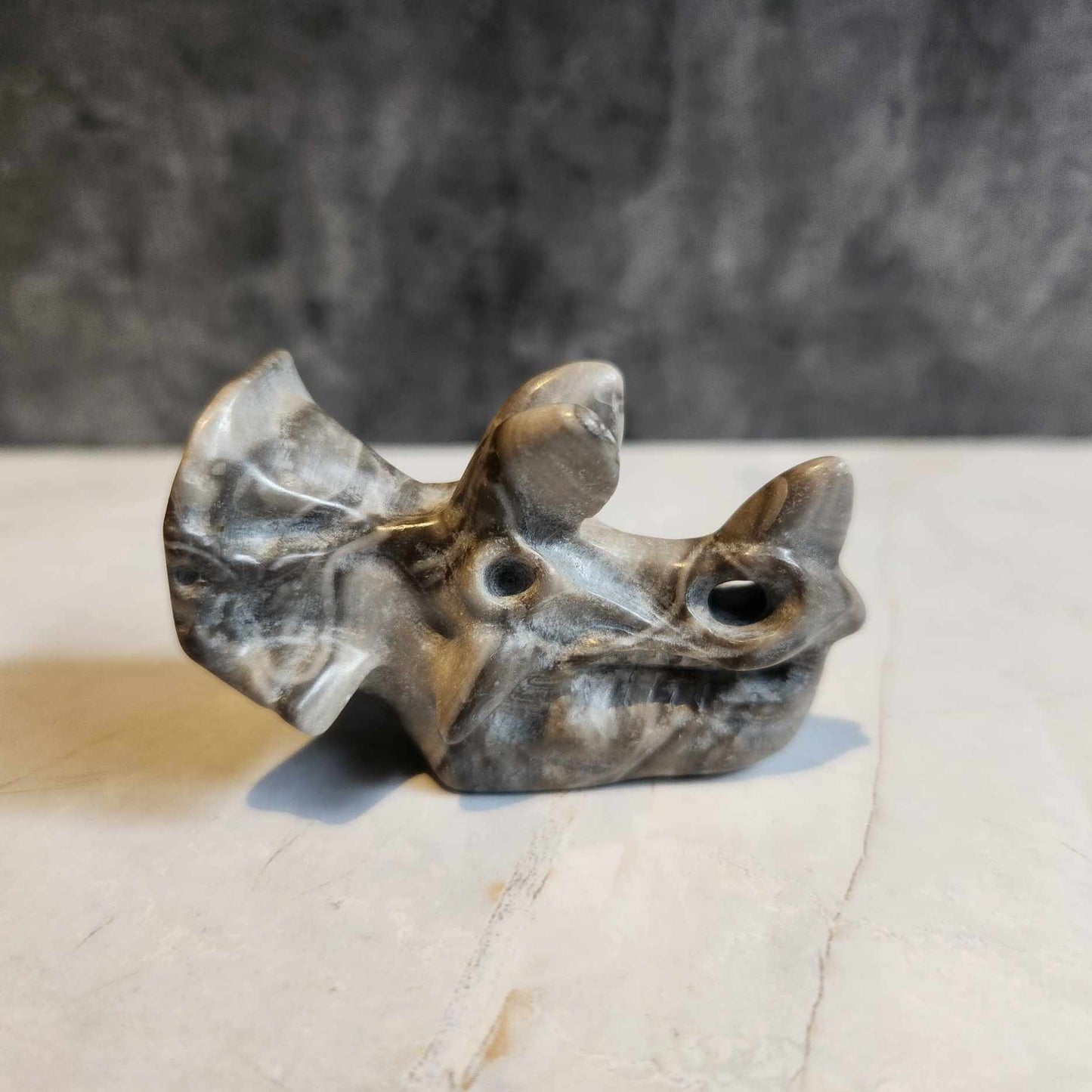 Triceratops Skull