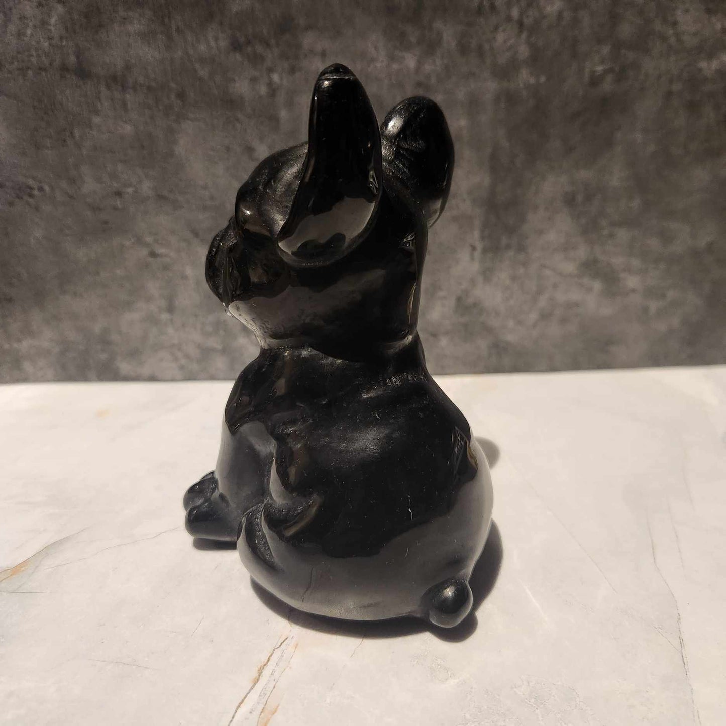 Black Obsidian Frenchie