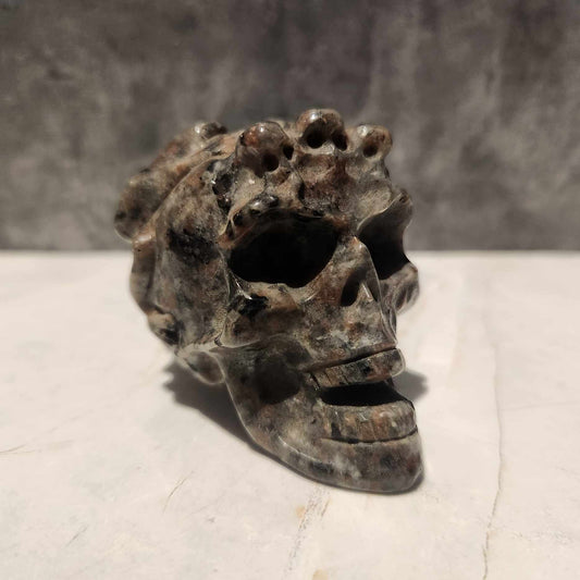 Yooperlite Skull