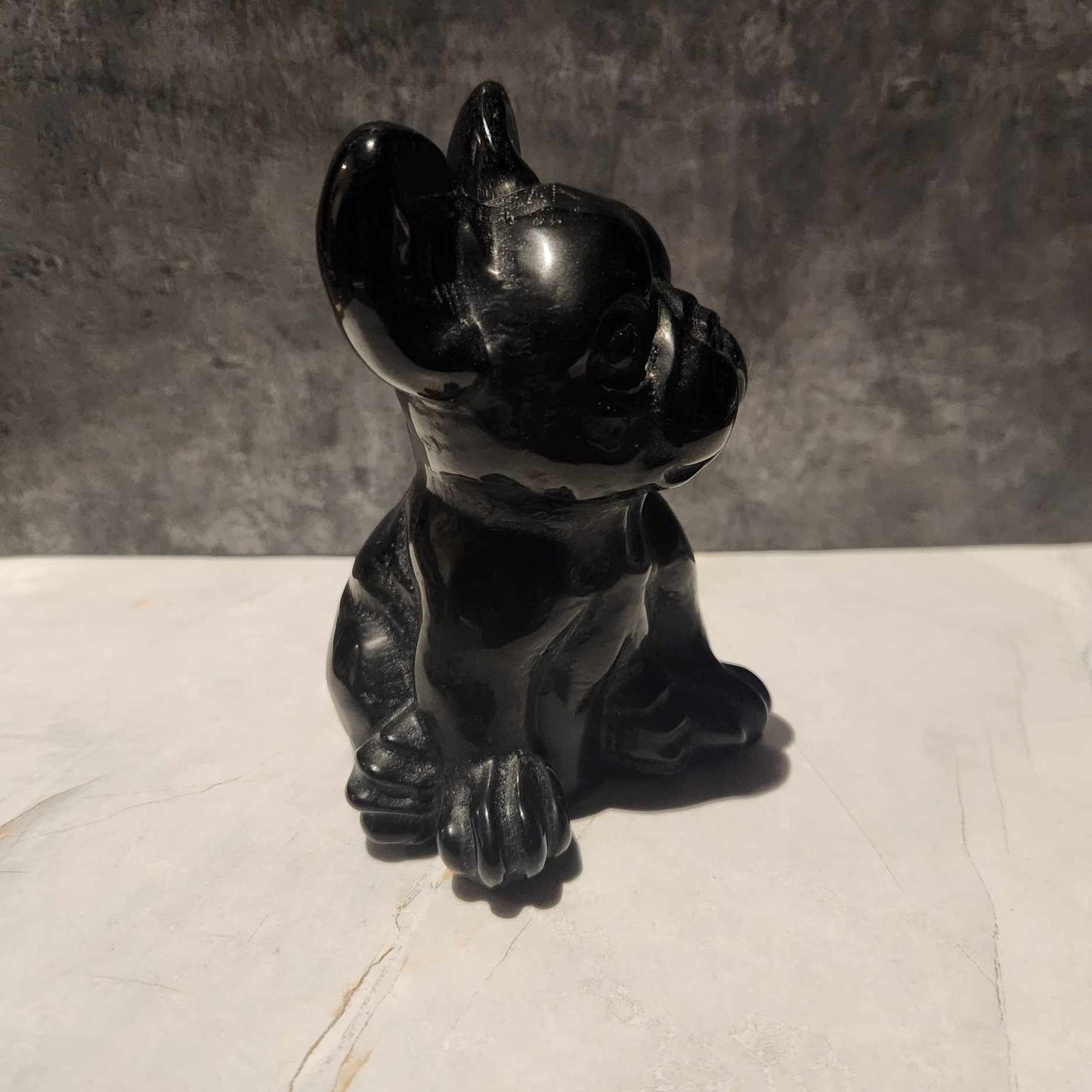 Black Obsidian Frenchie