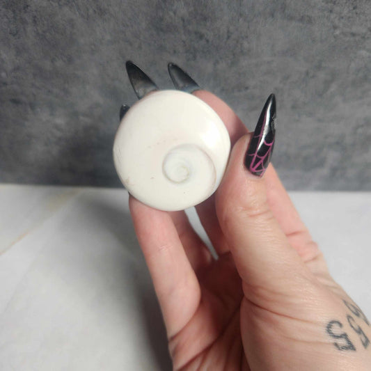 Shiva Shell