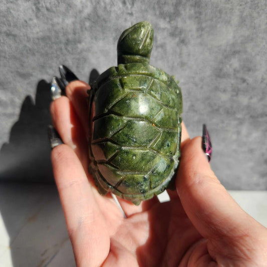 Serpentine Turtle (#2)