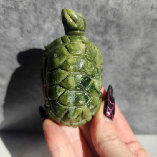 Serpentine Turtle (#4)