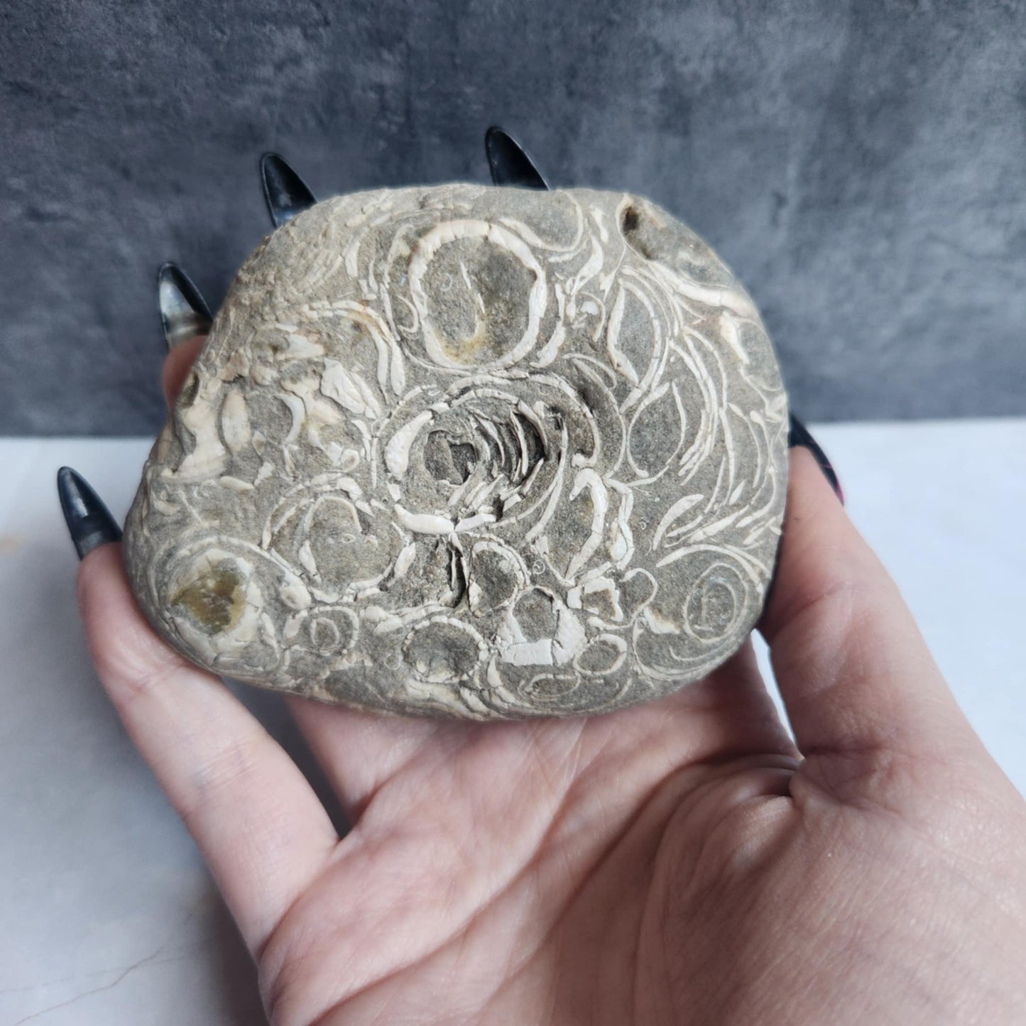 Shell in Matrix