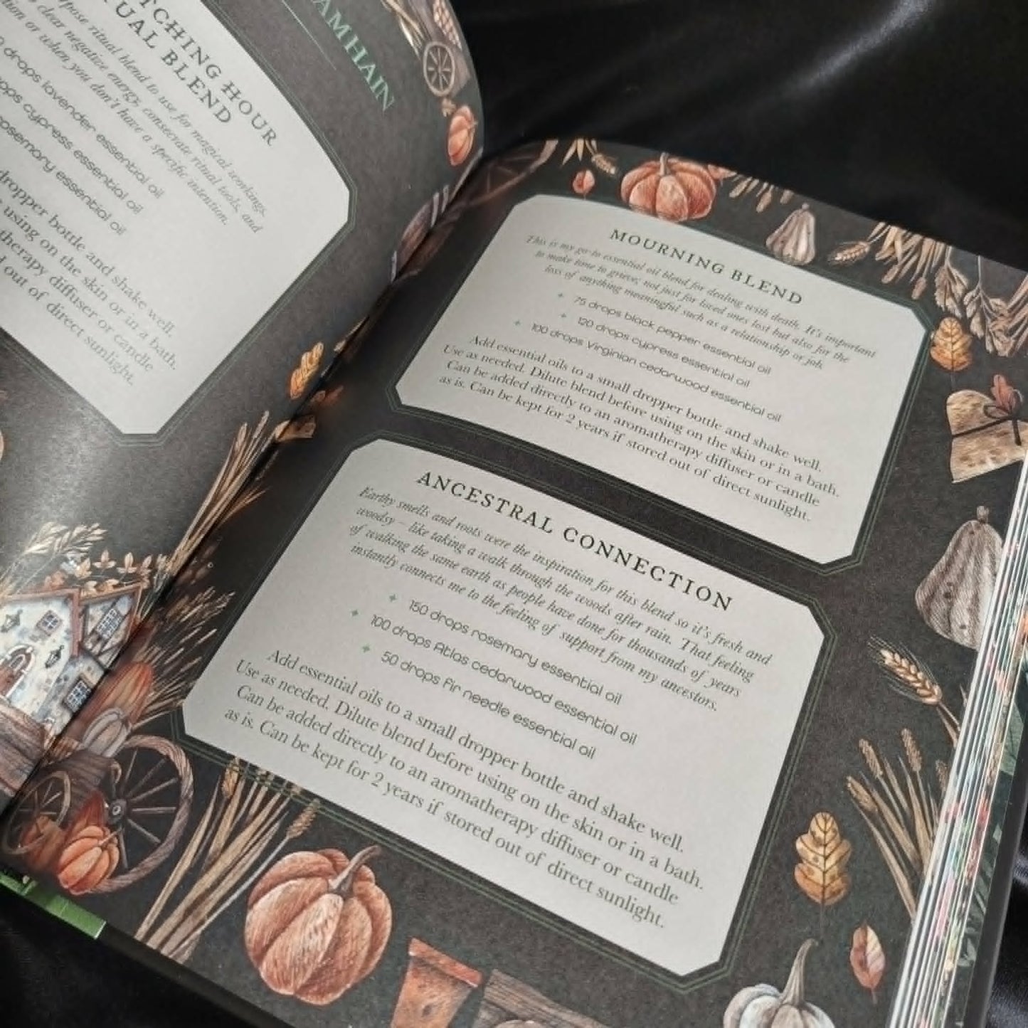 The Witch's Apothecary- Lorriane Anderson