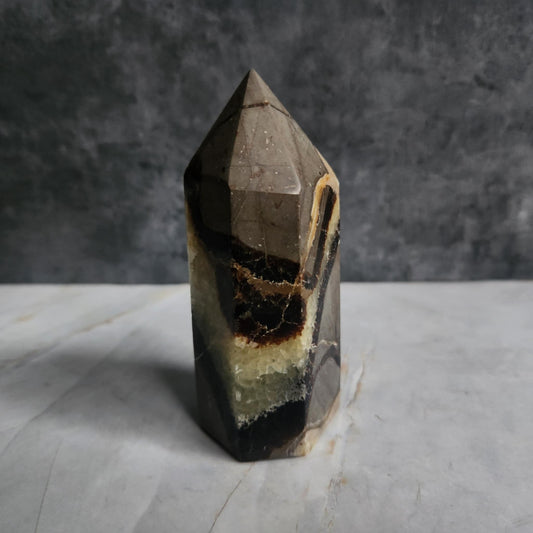 Septarian Nodule