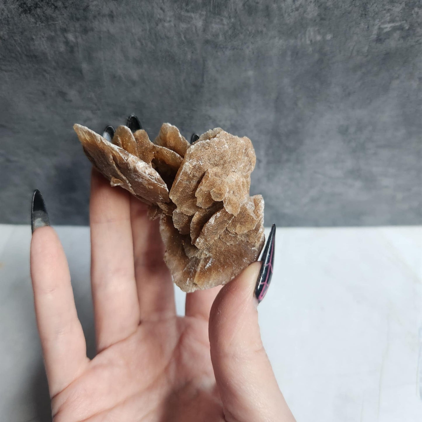 Desert Rose