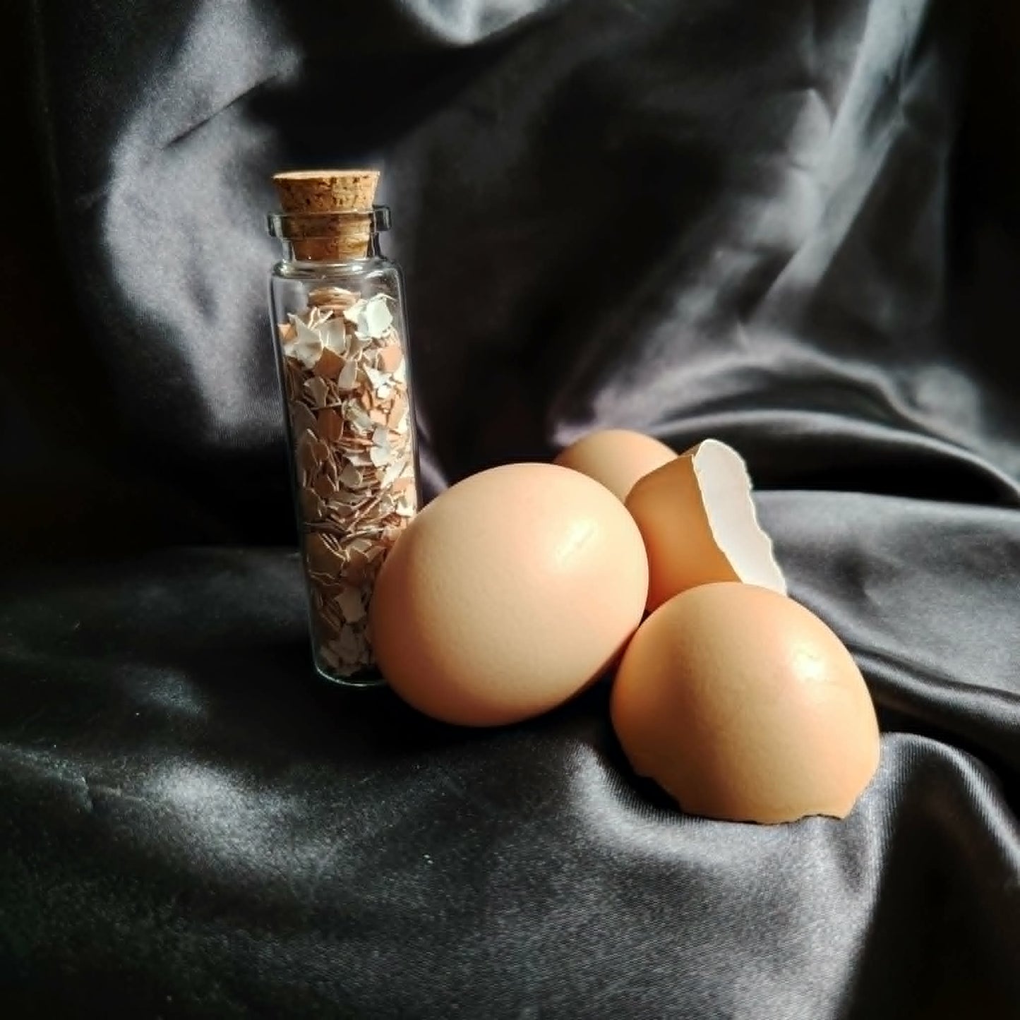 Eggshells