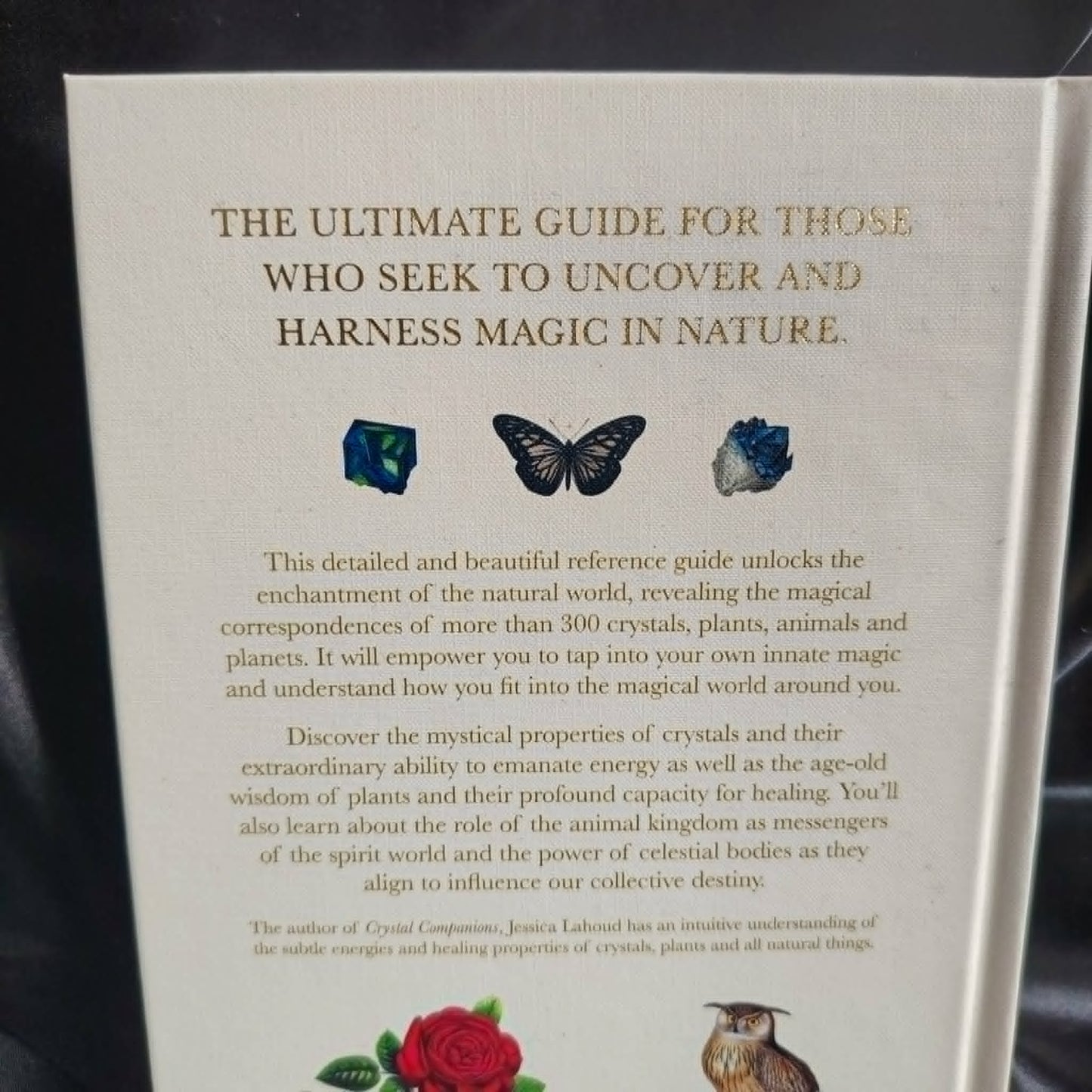 Magic In Nature- Jessica Lahoud