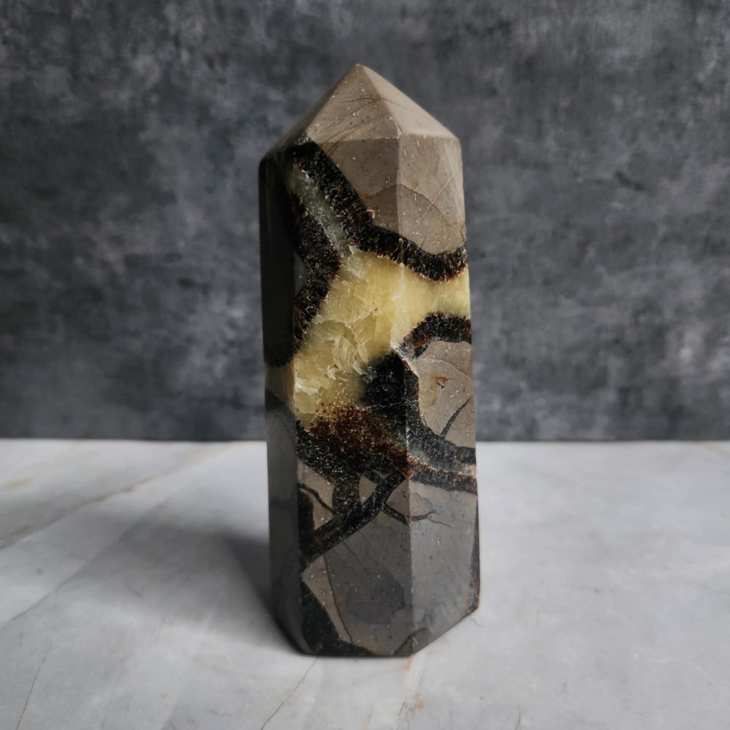 Septarian Nodule