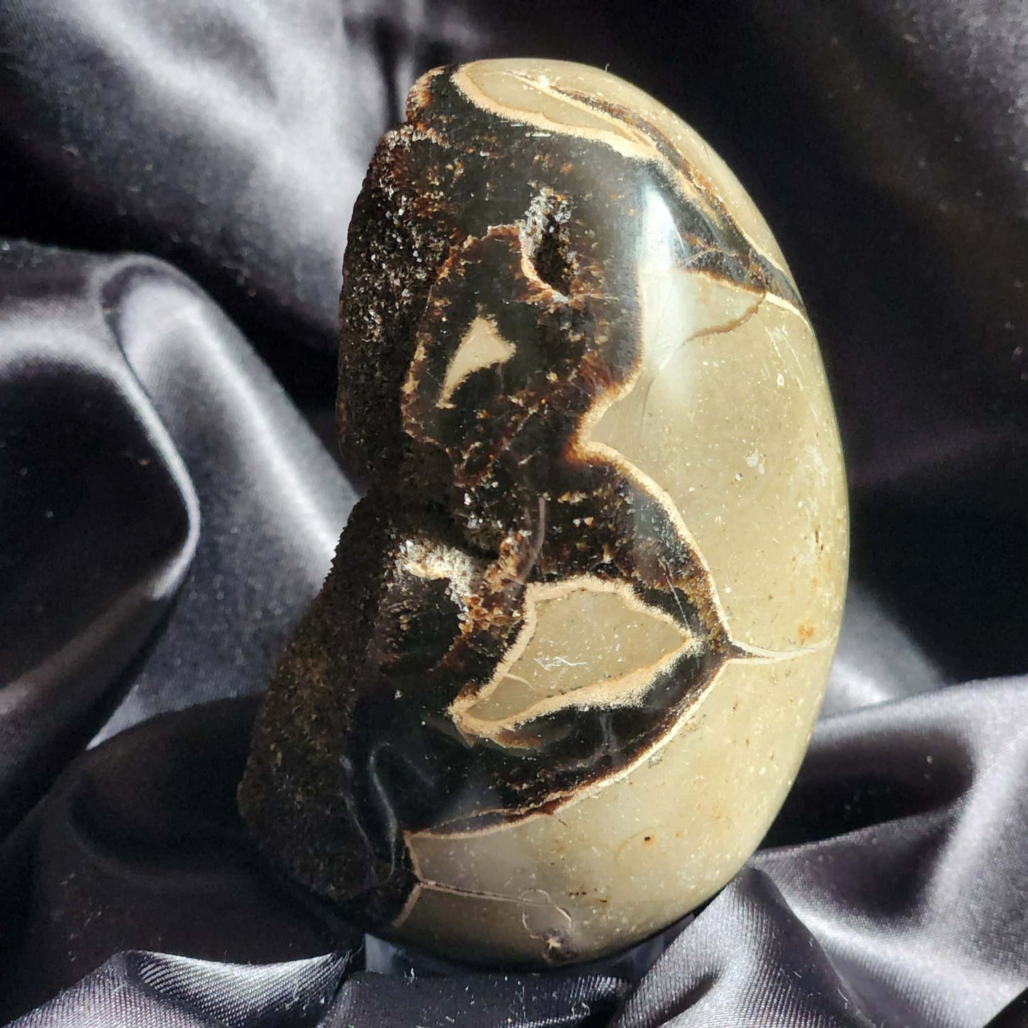 Septarian Nodule