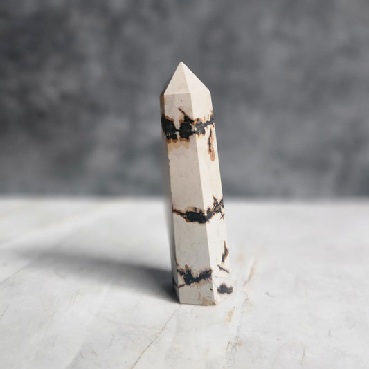 Picture Jasper