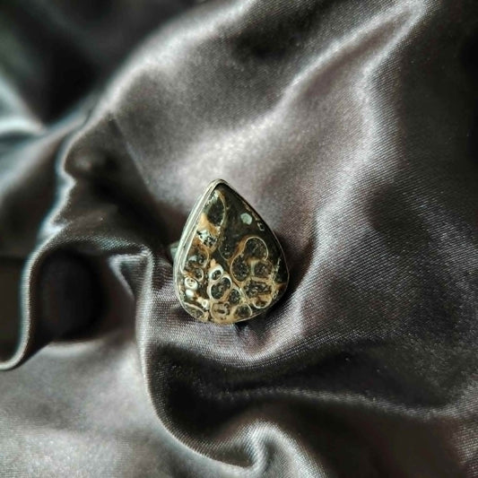 Turritella Agate- Size 7