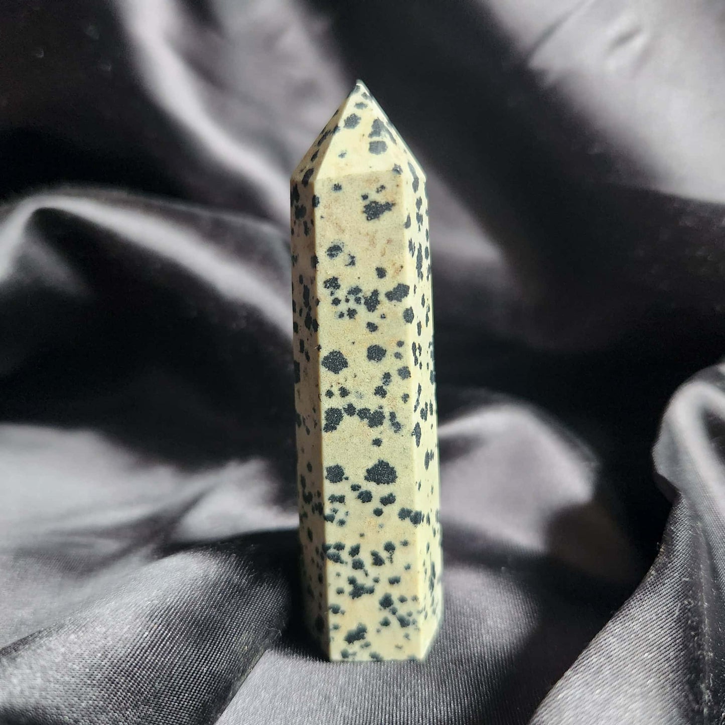 Dalmatian Jasper