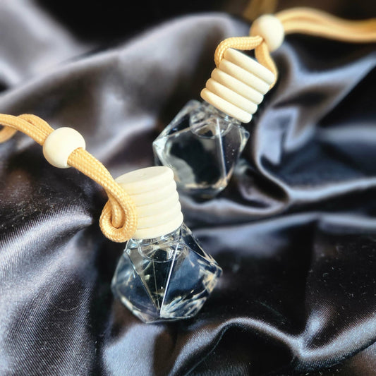 Travel Protection- Car Diffuser